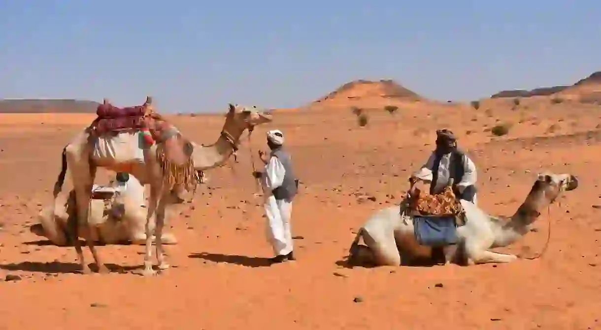 Camels are a big part of Sudanese culture