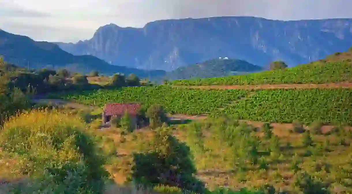 The Languedoc-Roussillon region is responsible for more than a third of France’s total wine production