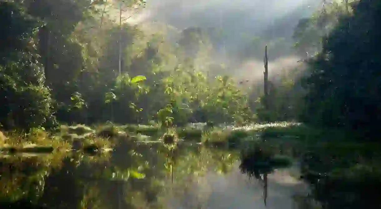 Small lake in the morning light, Amazon rainforest between Itaituba and Pimental, Para, Brazil