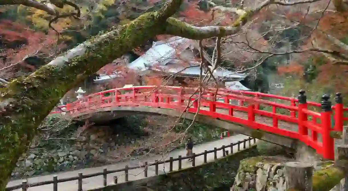 Escape to Minoo Park, just outside of Osaka, for a reprieve from the hustle and bustle of the city