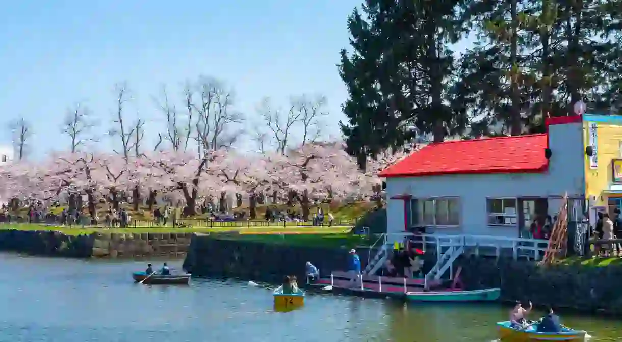 Goryokaku park is truly stunning in springtime, during cherry blossom season