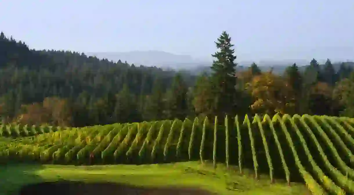 Get wines from Alexana Winery in Oregon delivered to your door