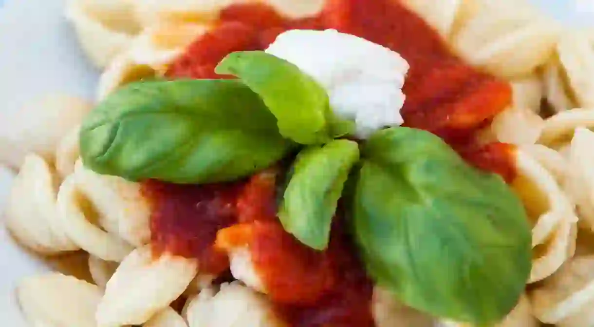 Orecchiette pasta with tomato and basil