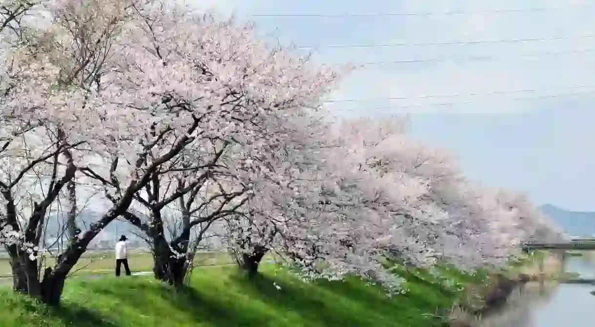 Walk through nature in Nagoya