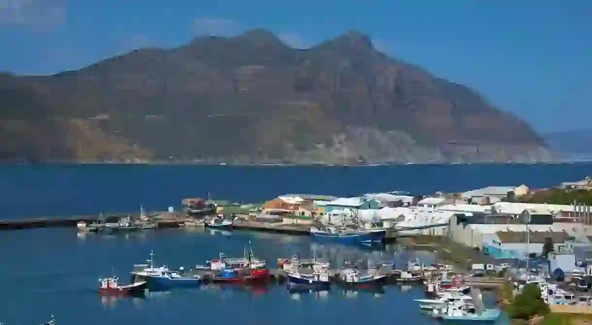 Hout Bay is a bustling hub of harbourside activity