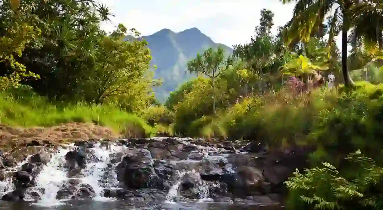 Explore the breathtaking beauty of Hawaii