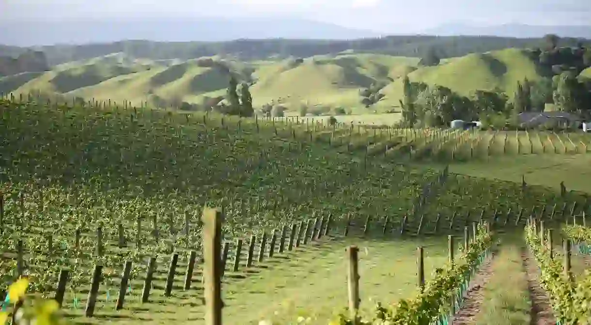 New Zealand is considered to have the most contrasting geography in any major wine-growing country