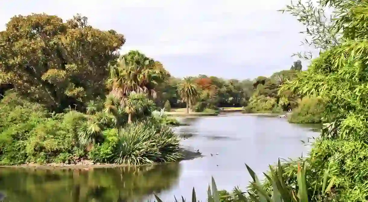 A visit to Melbournes Royal Botanic Gardens is ideal for a spot of nature in the city