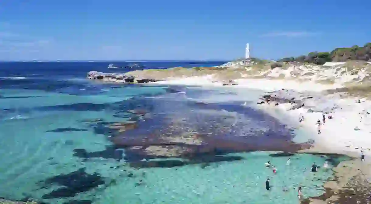 The warm waters of Rottnest Island attract a kaleidoscope of marine life