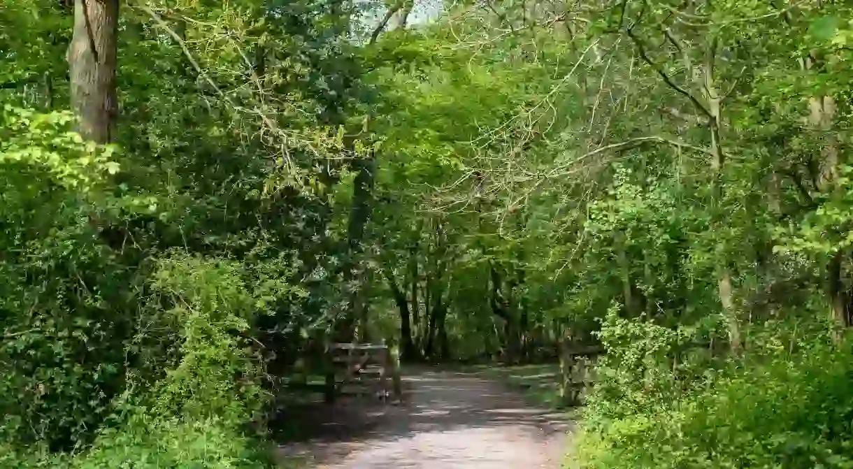 The London LOOP comprises approximately 242km (150mi) of scenic paths