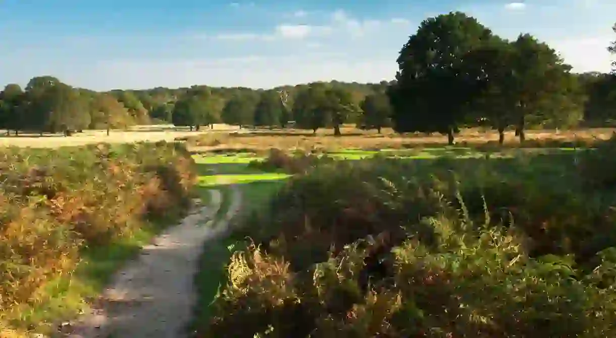 Richmond Park is beloved by Londoners for its abundance of grassy plains, ancient oak trees and deer