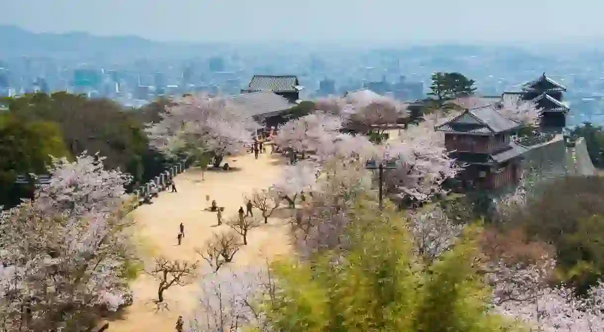 Matsuyama Castle is particularly impressive during cherry blossom season