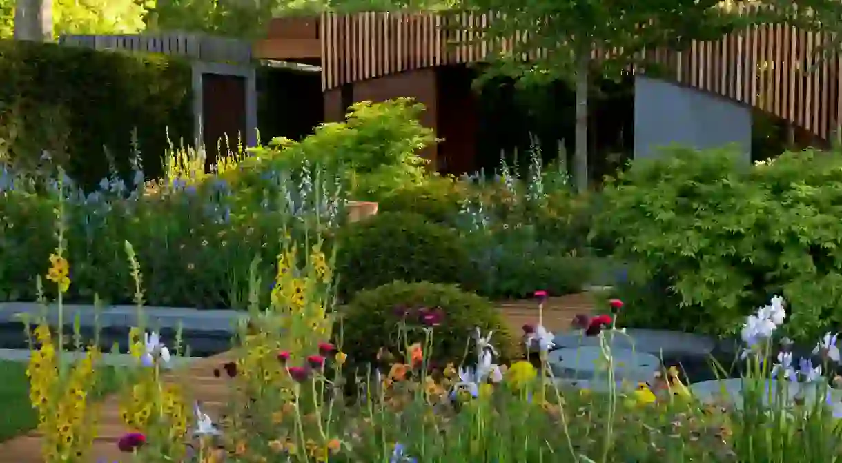 This Homebase Urban Retreat Garden, designed by Adam Frost, won gold at the 2015 RHS Chelsea Flower Show