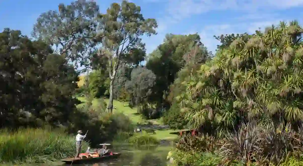 Spend a relax day punting on the Ornamental Lake at the Royal Botanic Gardens