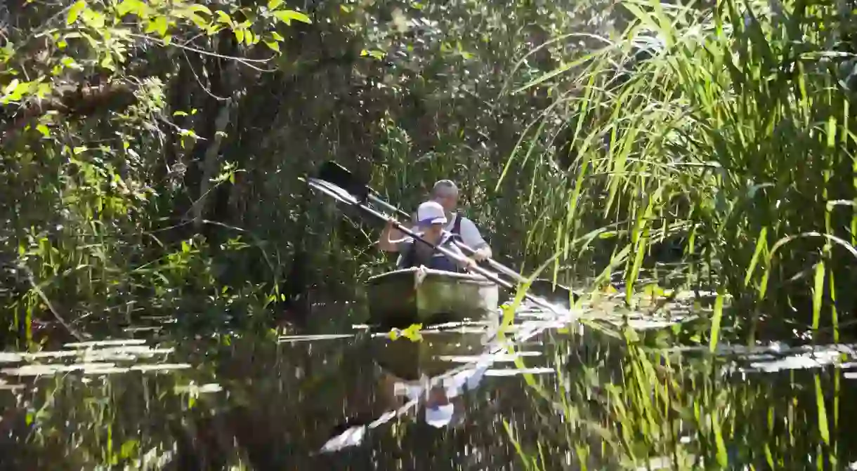 Canoe through mangroves in Floridas backcountry for an adventure like no other