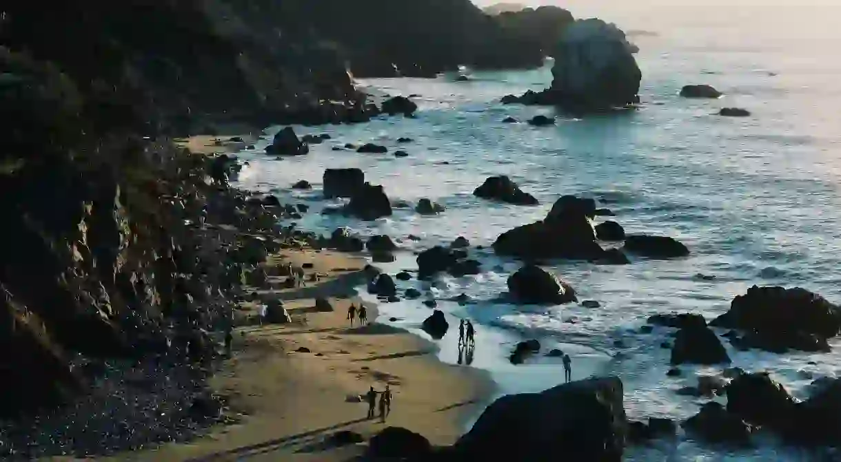 While the water may be chilly, San Franciscos beaches are still worth exploring