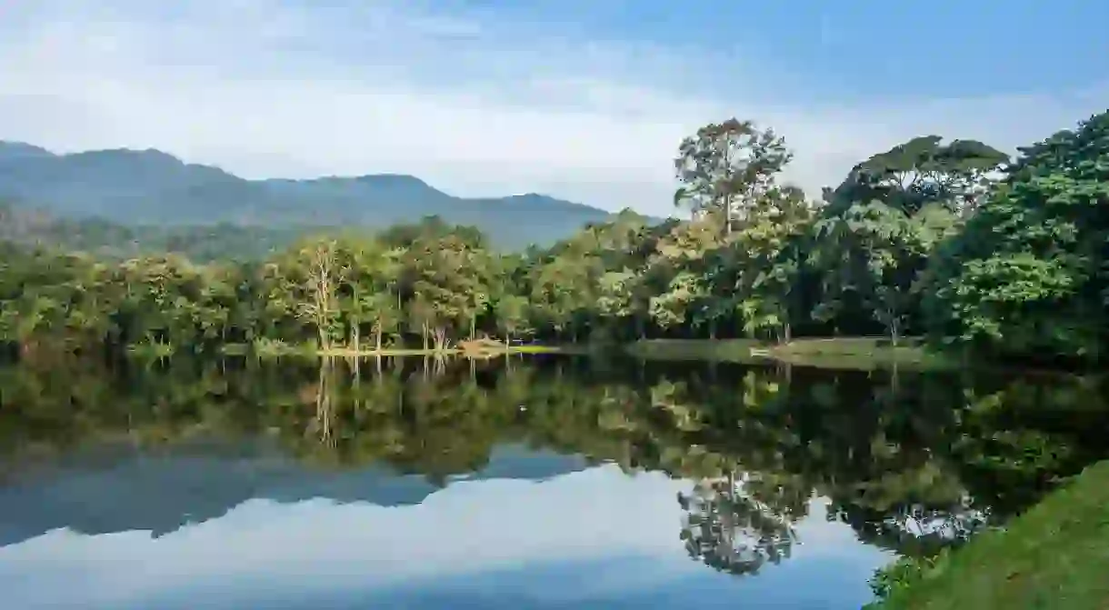 The sprawling green grounds of Chiang Mai University were among the locations for the movie