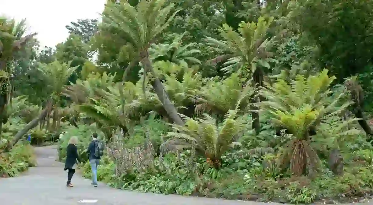 The walking path in San Franciscos Golden Gate Park is just one of the citys many outdoor delights