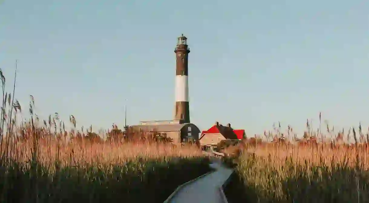 A beautiful view of Robert Moses State Park Fire in New York, USA