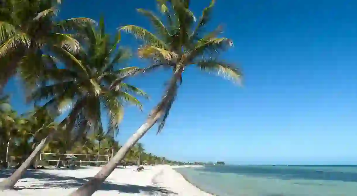 Snorkel in the tropical waters off the coast of Key West in the Florida Keys archipelago