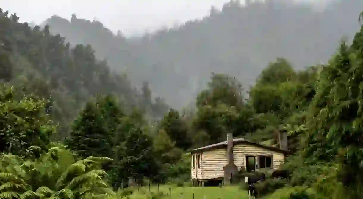 An old house in Te Urewera forest, whose legal guardians are the Tūhoe people