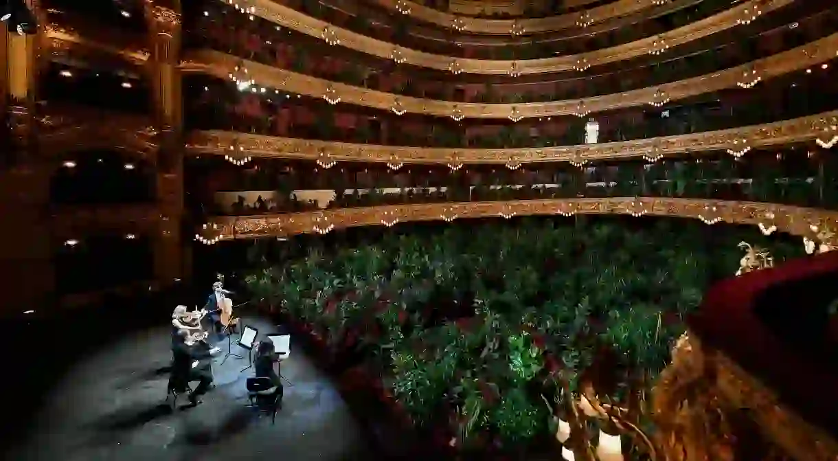 Spanish artist Eugenio Ampudia aimed to “broaden our empathy and bring it to bear on other species” by “using art and music and inviting nature into a great concert hall”