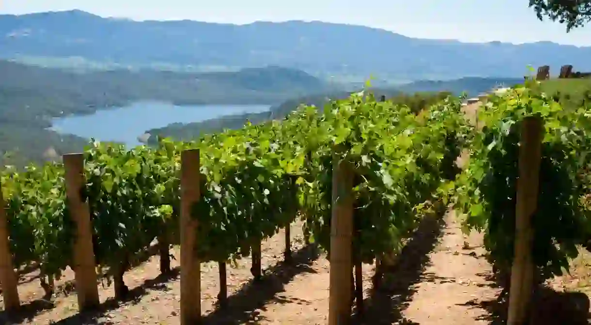 Unwind among the rolling hills and vineyards of Napa Valley