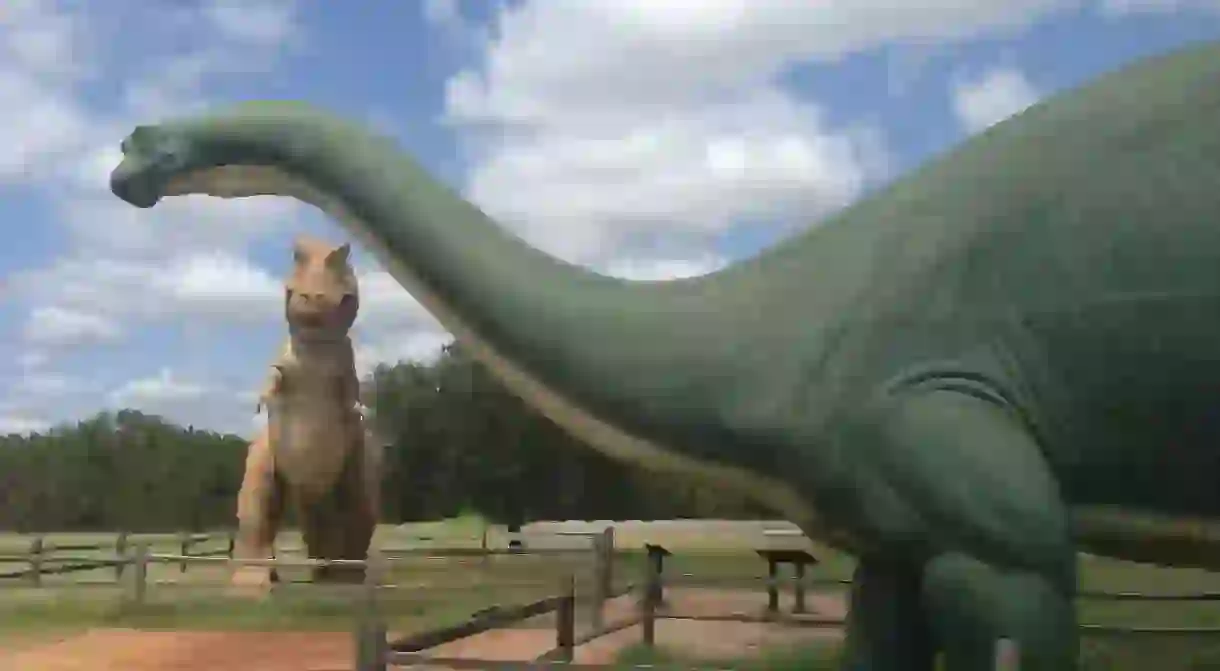 Little and big kids alike will love Dinosaur Valley State Park