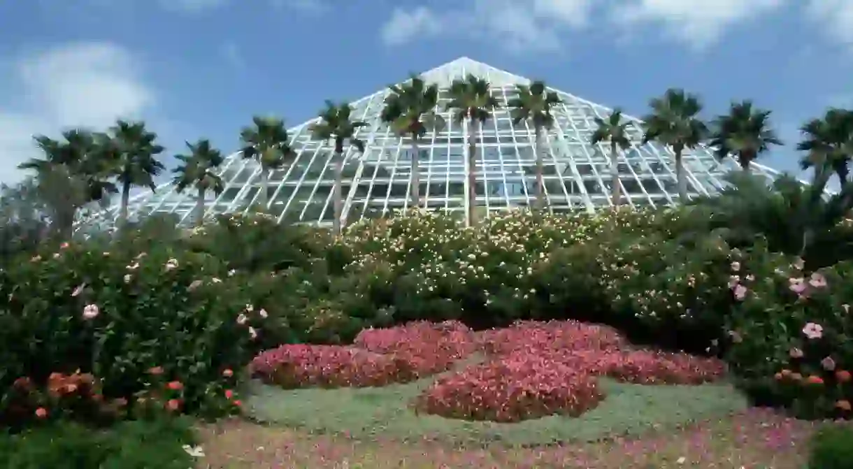 Moody Gardens is an hour outside Houston and has activities the entire family will enjoy