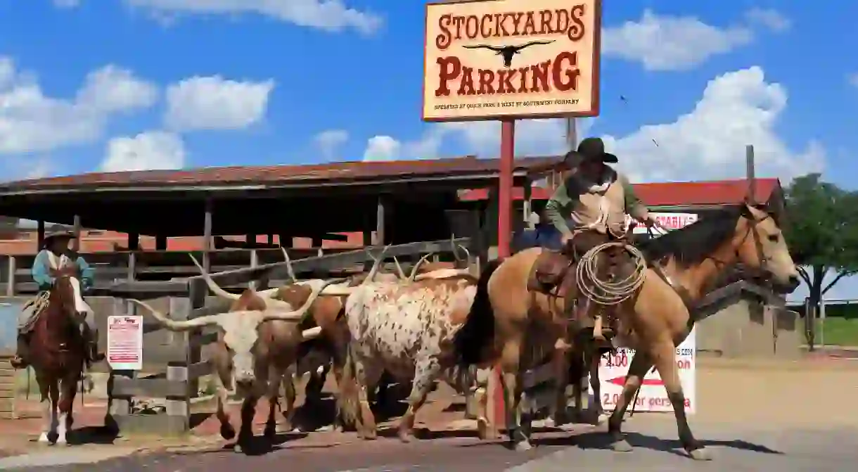 Visit Stockyards Stables to watch real-life cowboys in action