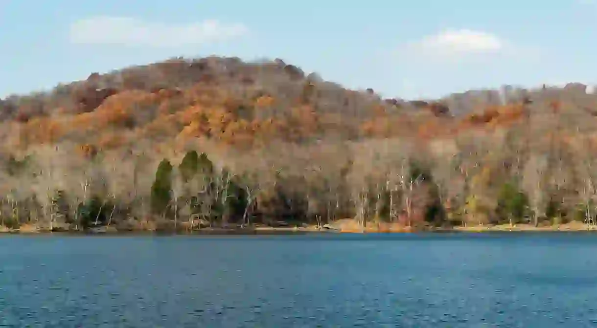 Nashvilles Radnor Lake is a great place to admire golden leaves in the fall