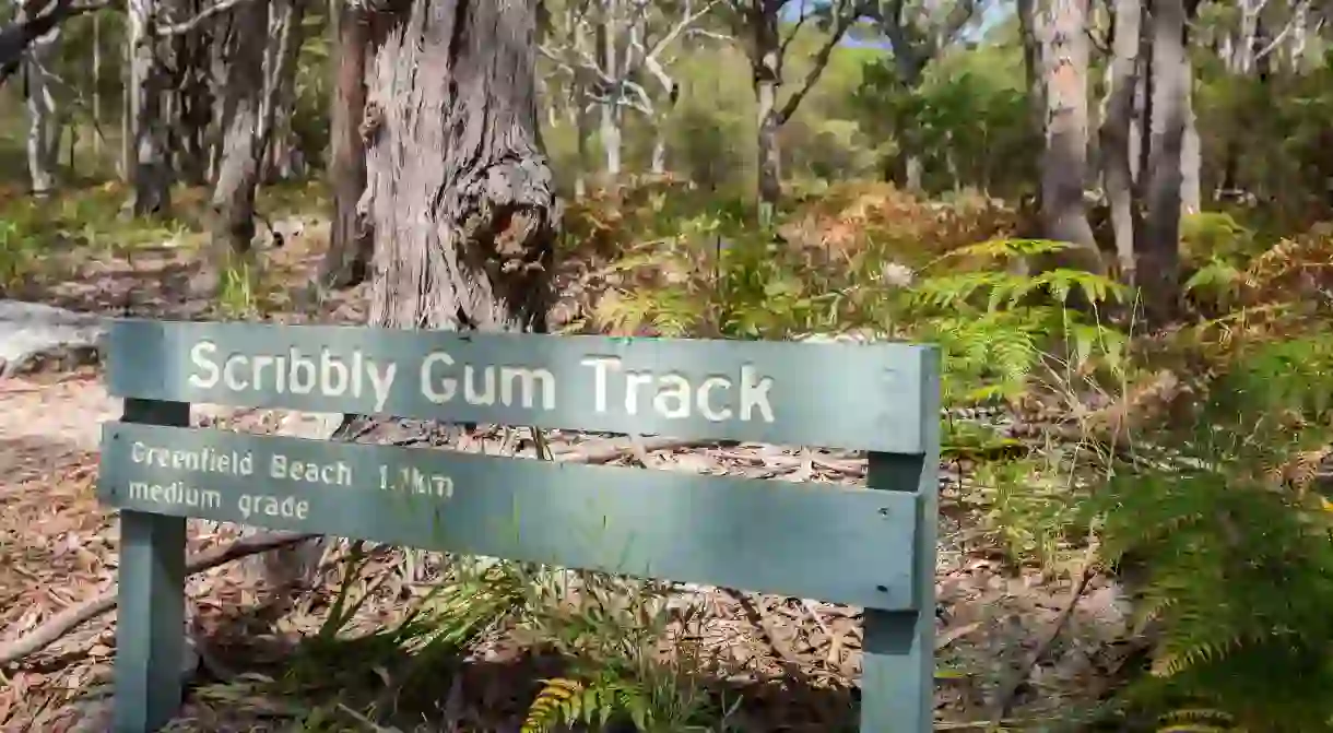 The Scribbly Gum Track lies within the Jervis Bay National Park