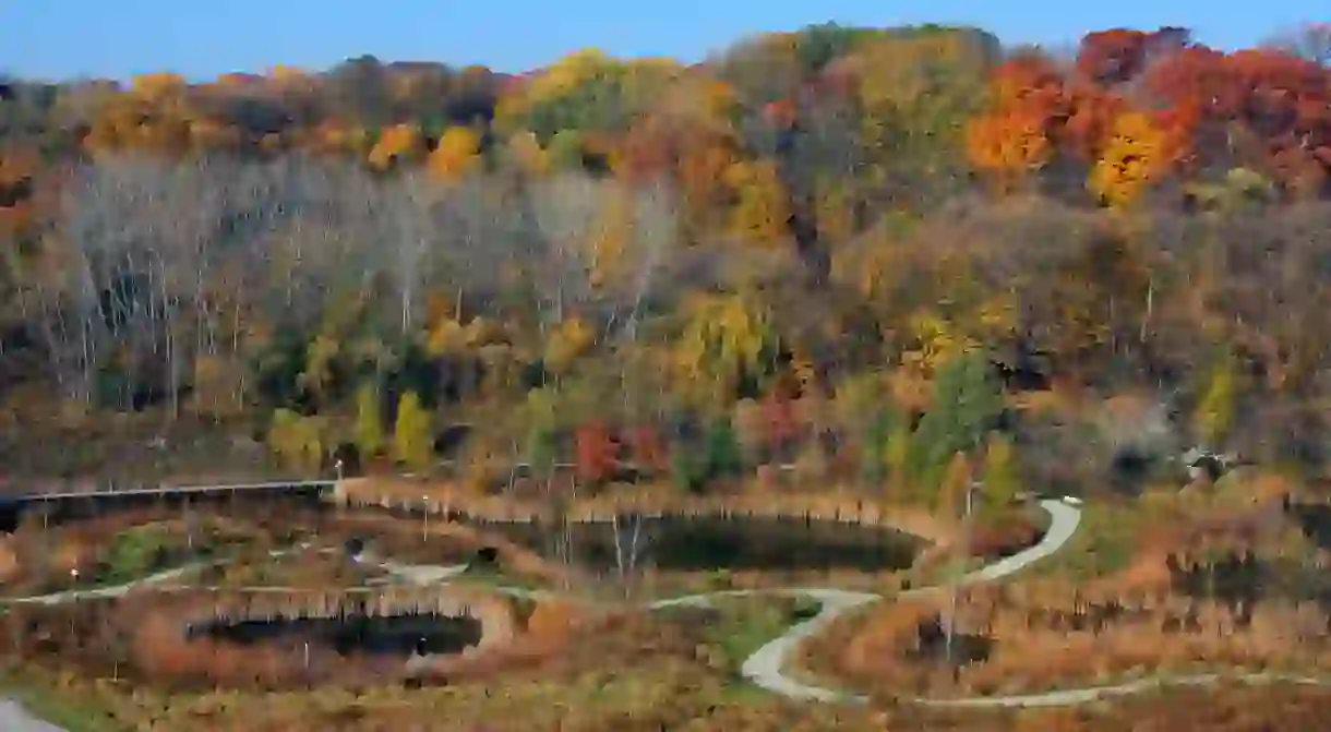 Don Valley Brickworks Conservation in autumn, Toronto, Ontario