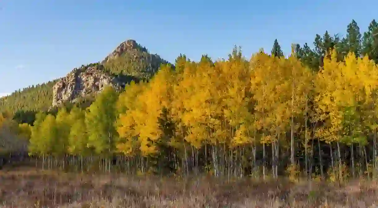 Denver is close to some of Colorados most spectacular wilderness, such as Golden Gate Canyon State Park