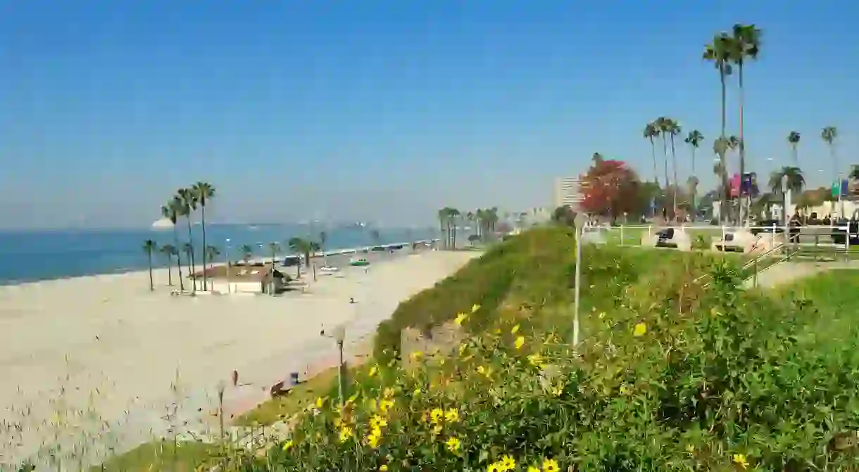 From family-friendly spots to dog-friendly stretches of sand, Long Beach has a beach for you