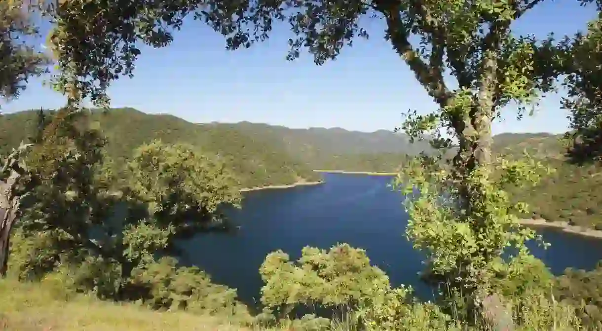 The Sierra de Hornachuelos Natural Park in southern Spain is brimming with beautiful flora and fauna