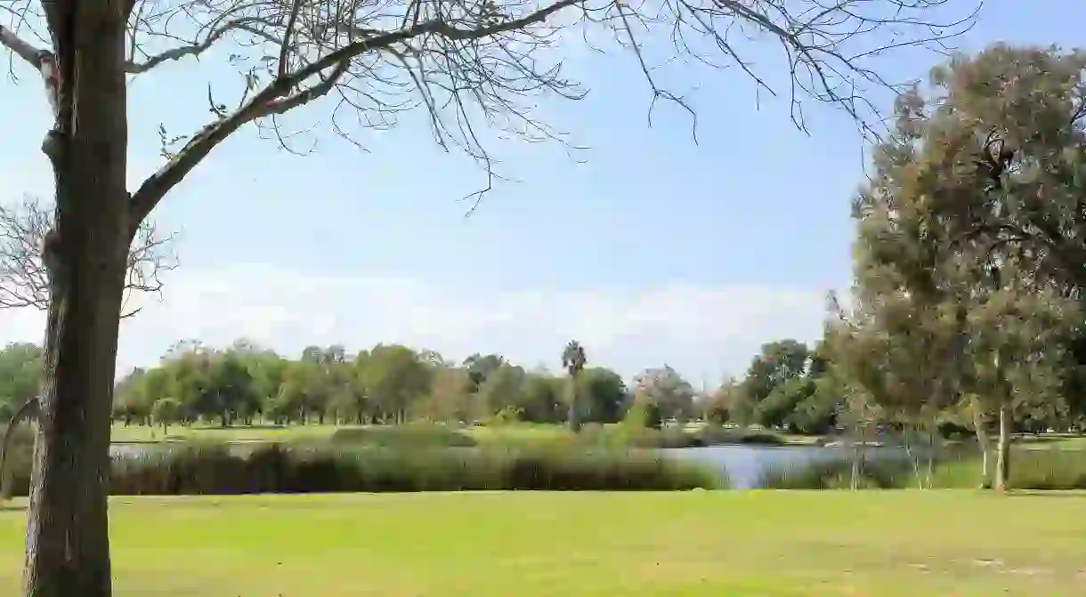 Peaceful afternoon at El Dorado East Regional Park, Long Beach California