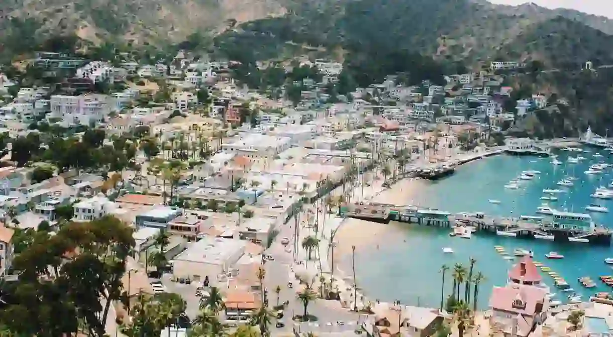 Catalina Island