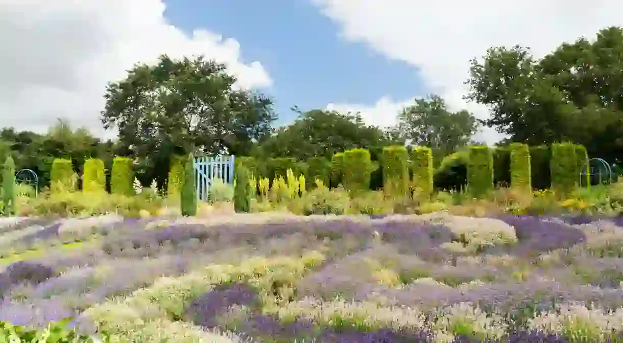 Yorkshire Lavender is just one of Yorks many enchanting green spaces