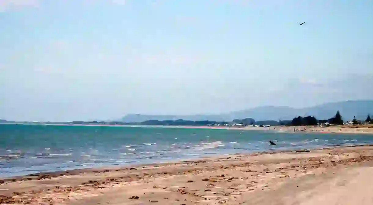 The Kāpiti Coast near Wellington boasts a long stretch of spectacular beaches protected from westerly winds