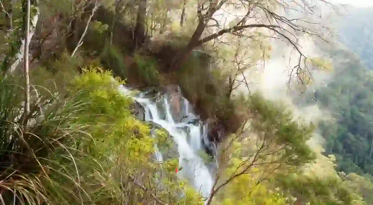 There’s a whole lot of nature on Brisbanes doorstep