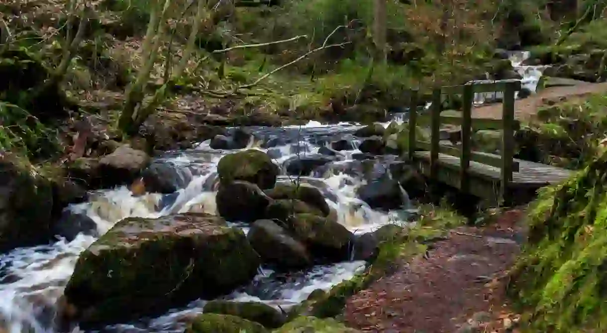 Wyming Brook Nature Reserve, in Yorkshire, is one of the UKs many natural beauty spots