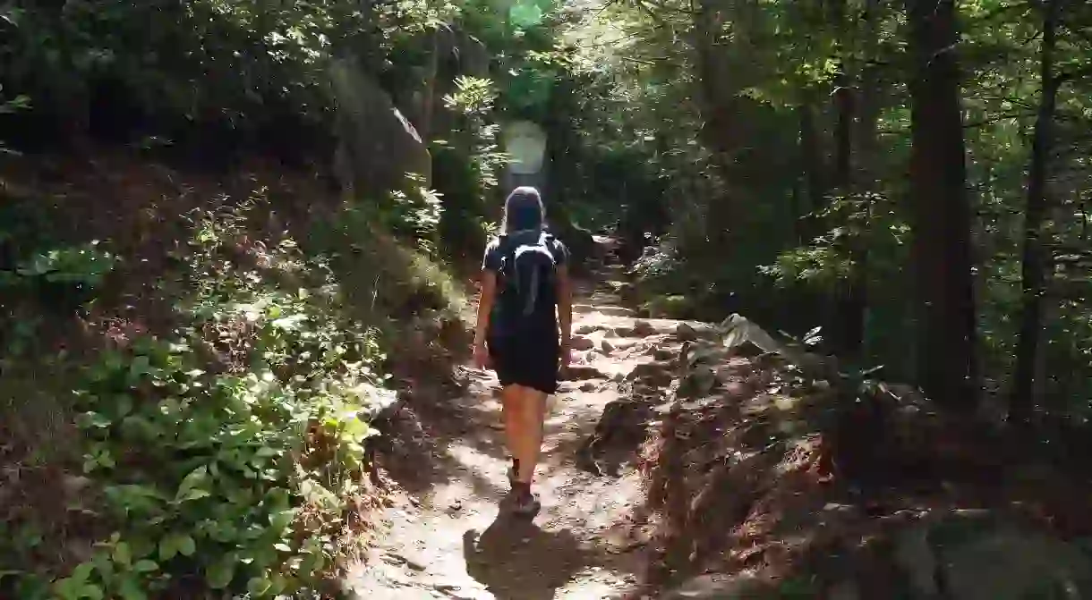 Hiking in the Great Smoky Mountains National Park is hugely popular