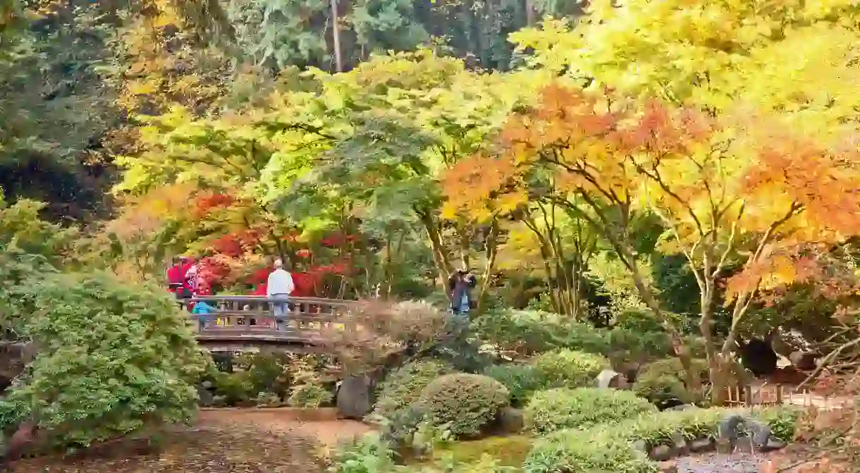 Autumn brings changing color, visitors and photographers to Portlands famous Japanese Tea Garden