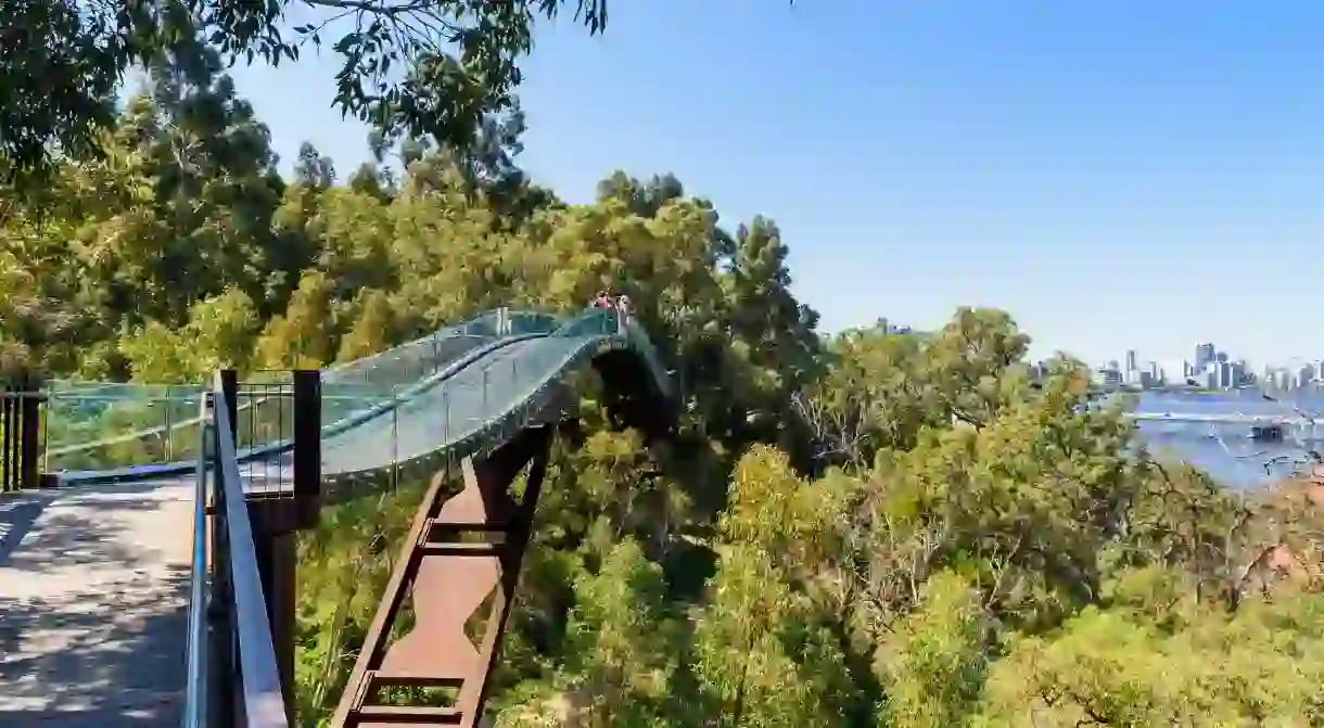 The Kings Park Lotterywest Federation Walkway Bridge offers a treetop walk and spectacular views towards Perth