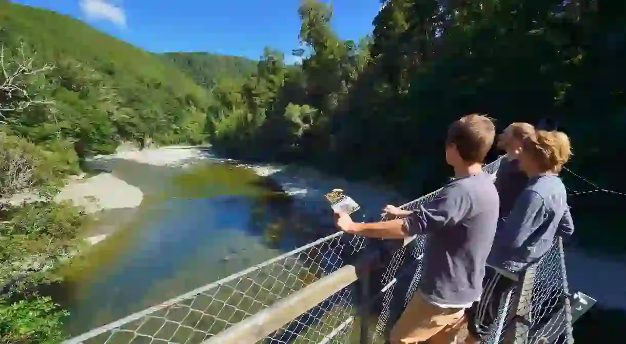 New Zealand North Island Wellington Kaitoke Regional Park where some scenes of the Lord of the Rings were filmed (The