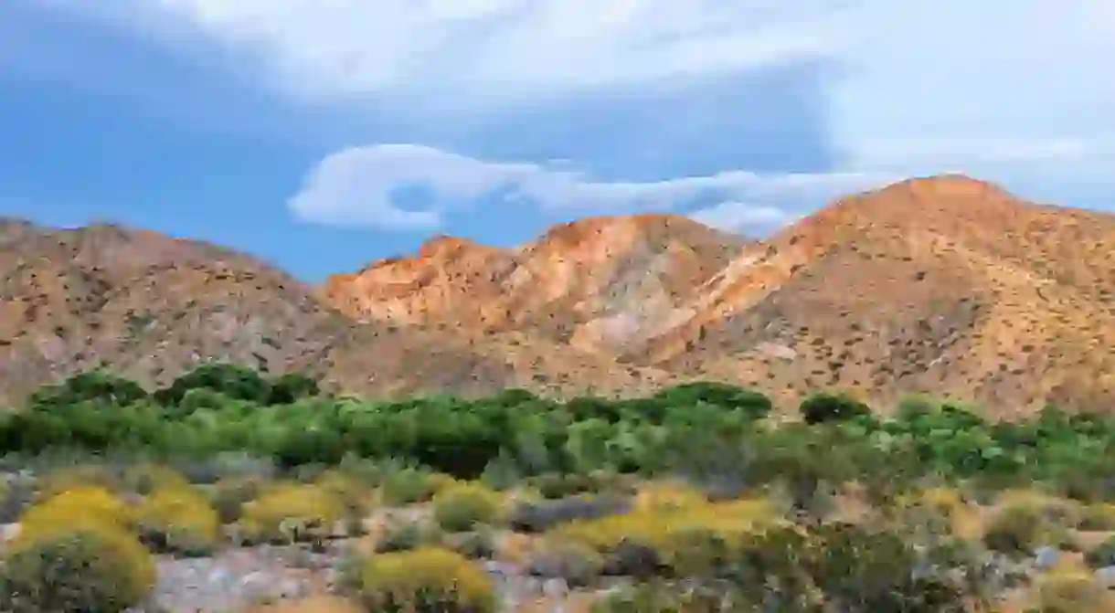 The Whitewater Preserve is one of several beautiful places to go hiking around Palm Springs