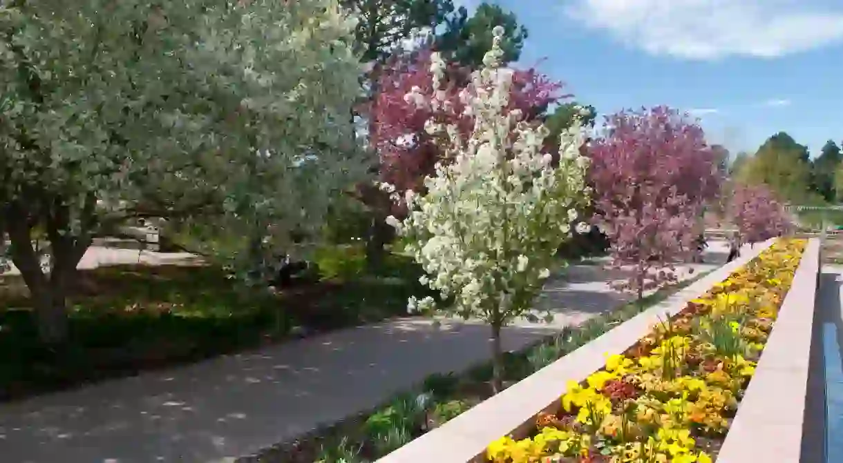 From thrilling adventures to tranquil gardens, Downtown Denver has it all