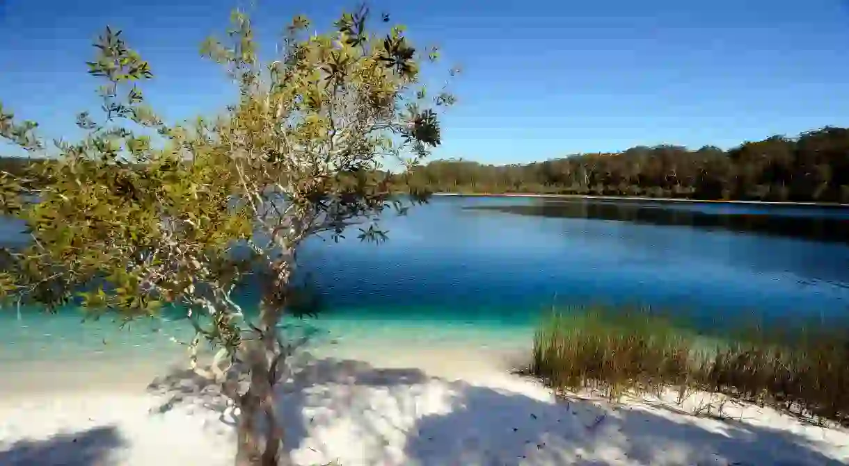 Lake McKenzie on Fraser Island Australia