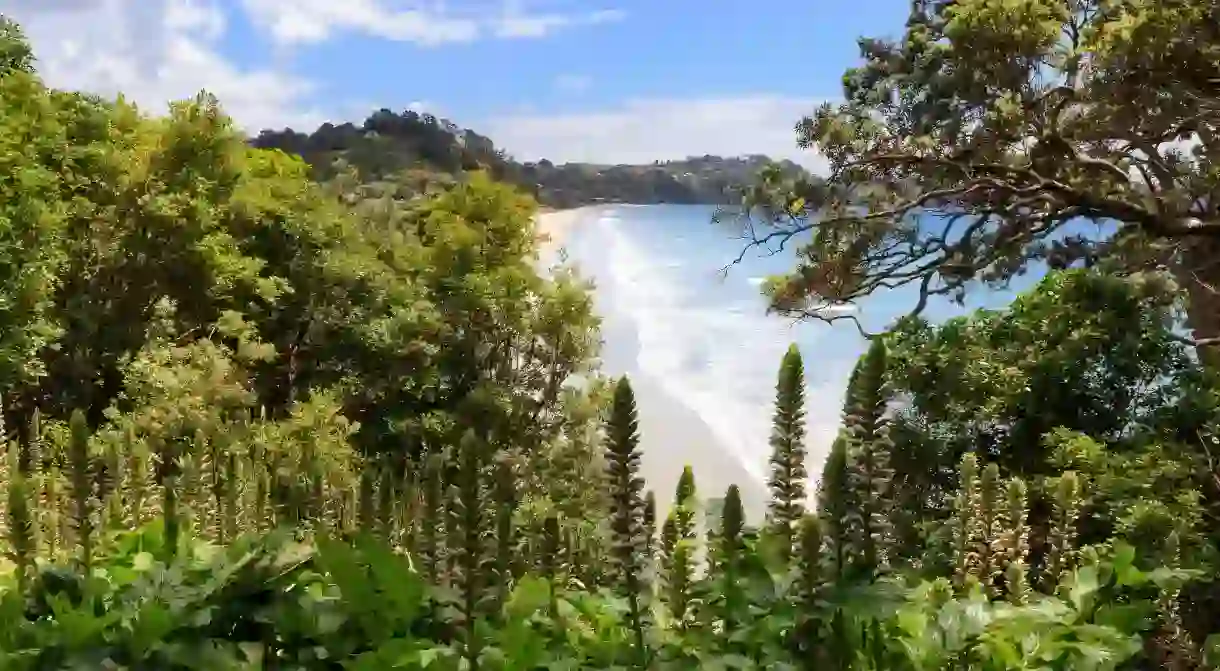 Aucklands many beaches dot the vast coastline along the Pacific Ocean and the Tasman Sea